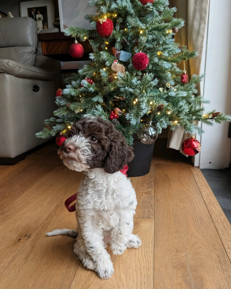 Emilia - main profile photo